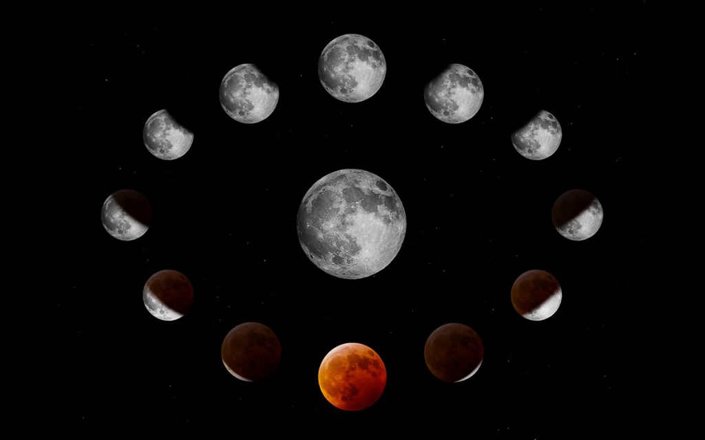 宇宙の豆知識］意外と知らない「月」の話 | 🌙月面着陸50周年